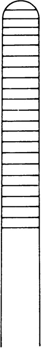 Dressing forceps, standard pattern, length 18 cm - Image 2