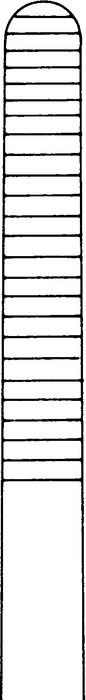 Dressing forceps, standard pattern, length 23 cm - Image 2