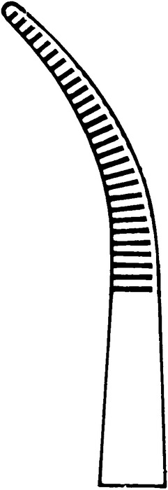 Forceps, acc. to Mixter-Baby, slightly curved, length 13.5 cm - Image 2