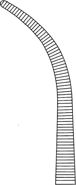 Dissecting forceps, acc. to Heiss, strongly curved, length 21 cm