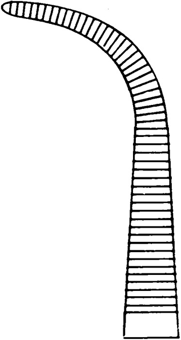 Dissecting forceps, acc. to Gemini, curved, length 13 cm - Image 2