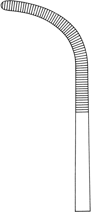 Dissecting forceps, acc. to Rumel, figure 5, length 24 cm