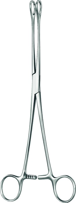 Sponge forceps, acc. to Förster, serrated jaws, curved, length 18 cm