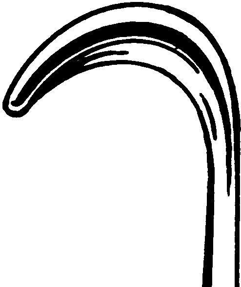 Hooklet, acc. to Desmarres, width 8 mm, length 16 cm - Image 3