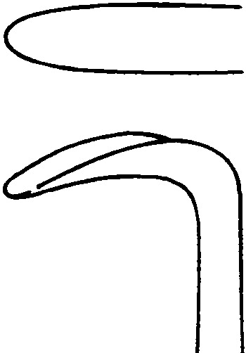 Vein hooks, acc. to Brom, wide, length 19 cm - Image 2