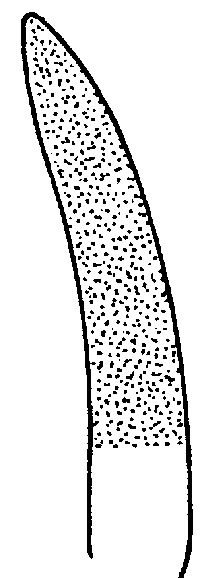Microneedle holder, curved, with ratchet lock, safety-wave, diamond-coated, Ø 2 mm, thread size 2-0 - 4-0, length 18 cm