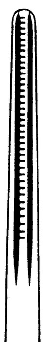 Atraumatic forceps, acc. to DeBakey, width 2 mm, length 16 cm - Image 2