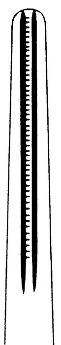 Atraumatic forceps, acc. to DeBakey, width 3.5 mm, length 16 cm - Image 2