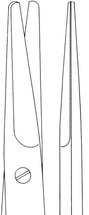 Aquila scissors, dissecting scissors, acc. to Mayo, straight, length 14 cm - Image 2
