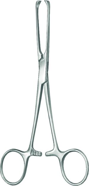 Intestinal and tissue grasping forceps, acc. to Allis, 5 x 6 teeth, length 15.5 cm