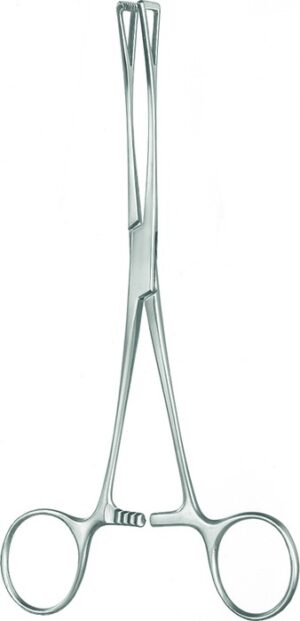 Intestinal and tissue grasping forceps, acc. to Duval, wide, fenestrated, length 20.5 cm