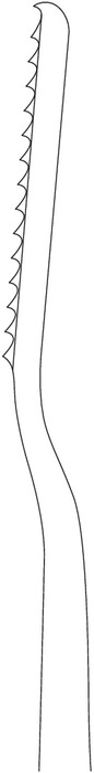 TC gold rasp, acc. to Maltz, figure 3, width 7 mm, length 21 cm - Image 3